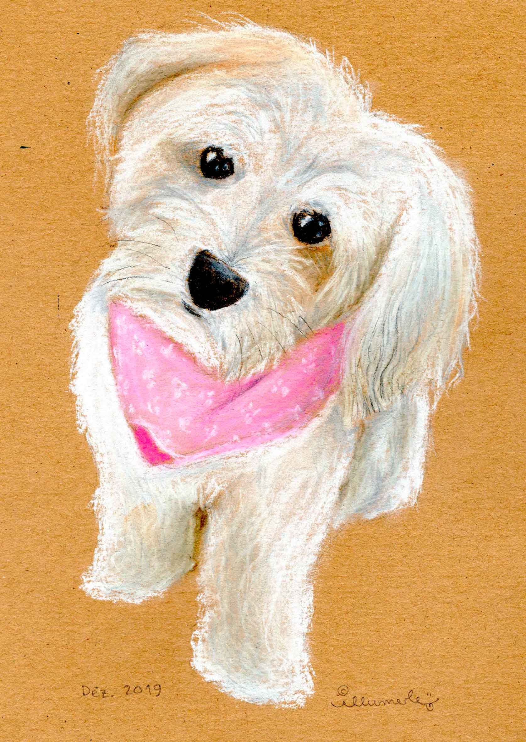 hund-porträt-pastell hund-porträt-pastell